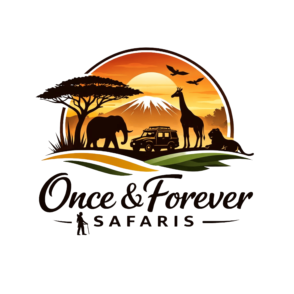 onceandforeversafaris